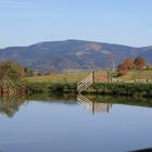 Riesengebirgsvorland im Herbst