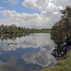 Riesenglück gestern am  Dlouhy ryb, einem See im böhmischen Teil von Zinnwald (Cinovec)...