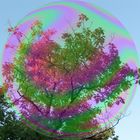 Riesenherbstbaumseifenblase
