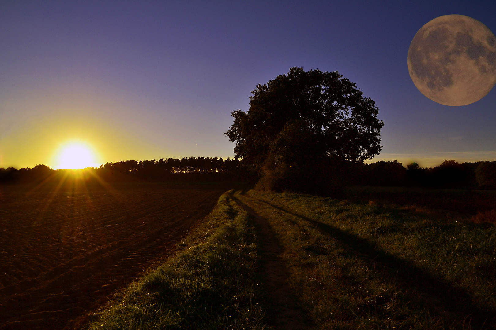 Riesenmond