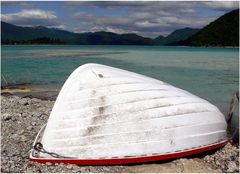 Riesenmuschel am Walchensee