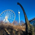 Riesenrad 12