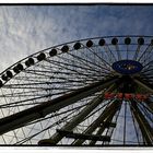 riESeNrAd