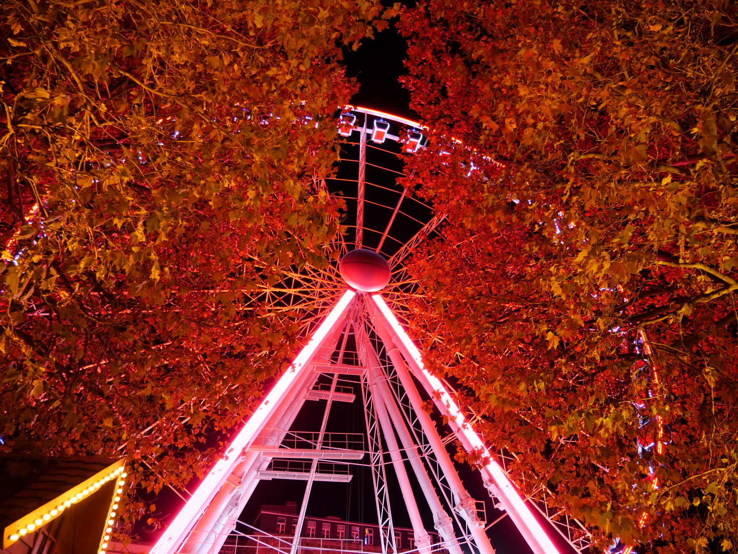 Riesenrad 3