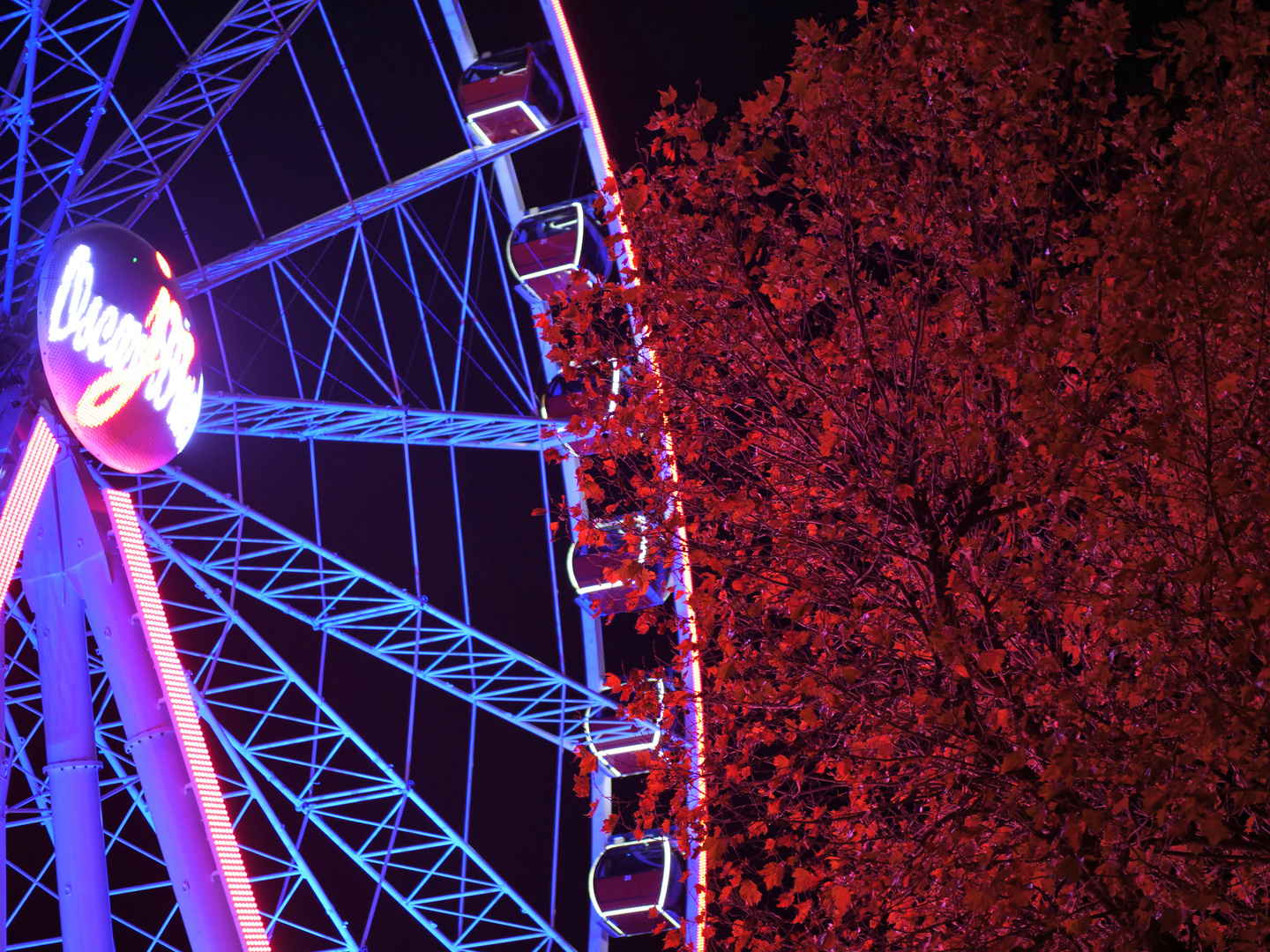 Riesenrad 6