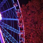 Riesenrad 6