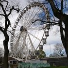 Riesenrad am Kölner Zoo