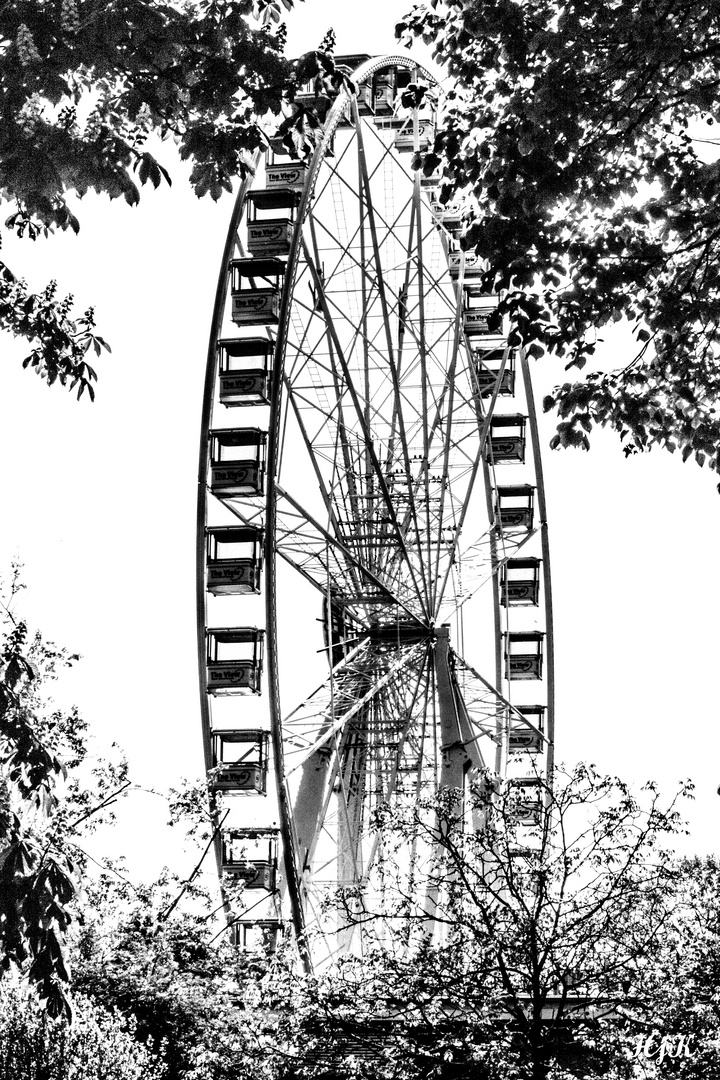 Riesenrad am Kölner Zoo.