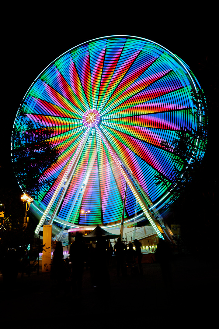 Riesenrad bei Nacht 2