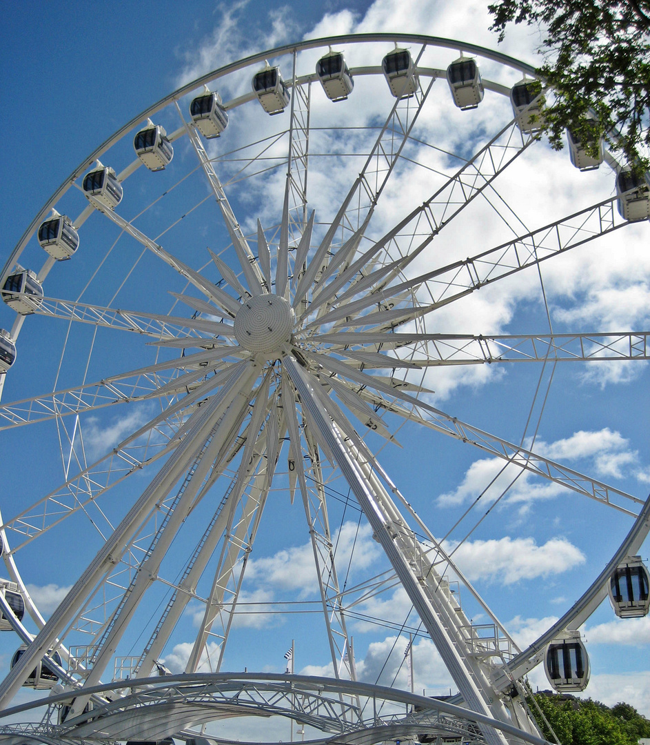 ~ * RIESENrad * ~