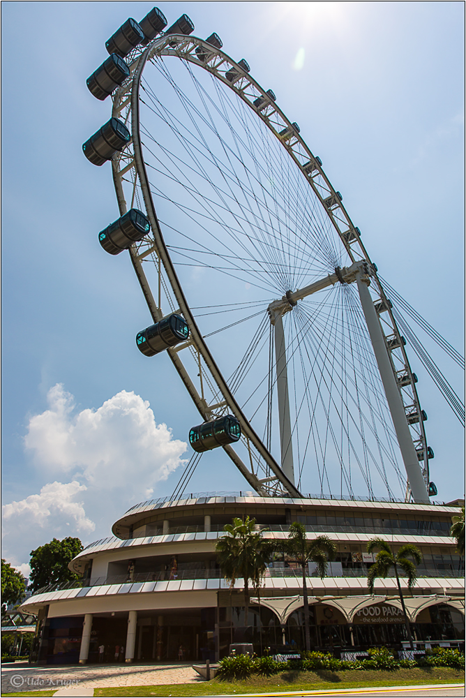 Riesenrad "Flyer" von Singapore