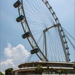 Riesenrad "Flyer" von Singapore