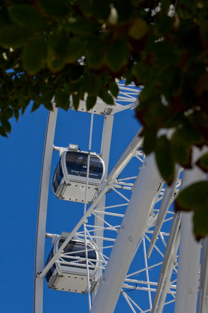 Riesenrad II