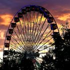 Riesenrad im Abendrot