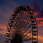 Riesenrad im Abendrot