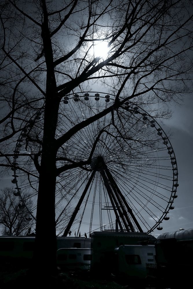 Riesenrad im Gegenlicht