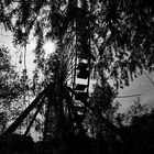 Riesenrad im Gegenlicht