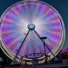 Riesenrad im Konstanzer Hafen