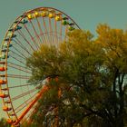 Riesenrad im Spreepark