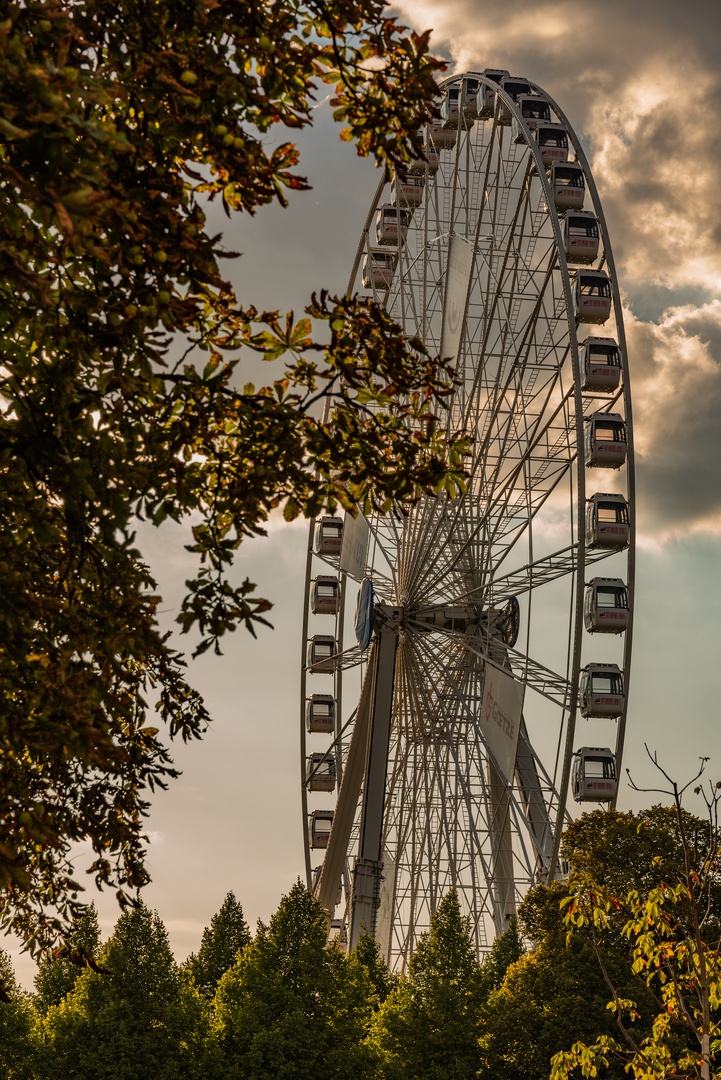 Riesenrad in Ludwigsburg