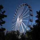 Riesenrad München R80 XL #1