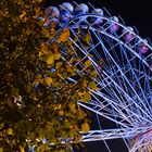 Riesenrad @ Night