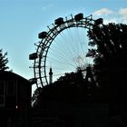 RIESENRAD Wien W-75-col