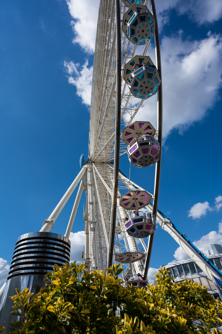 Riesenrad_005