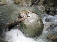 Riesenschädel? - oder doch nur ein Stein