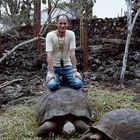 Riesenschildkroete mit ...