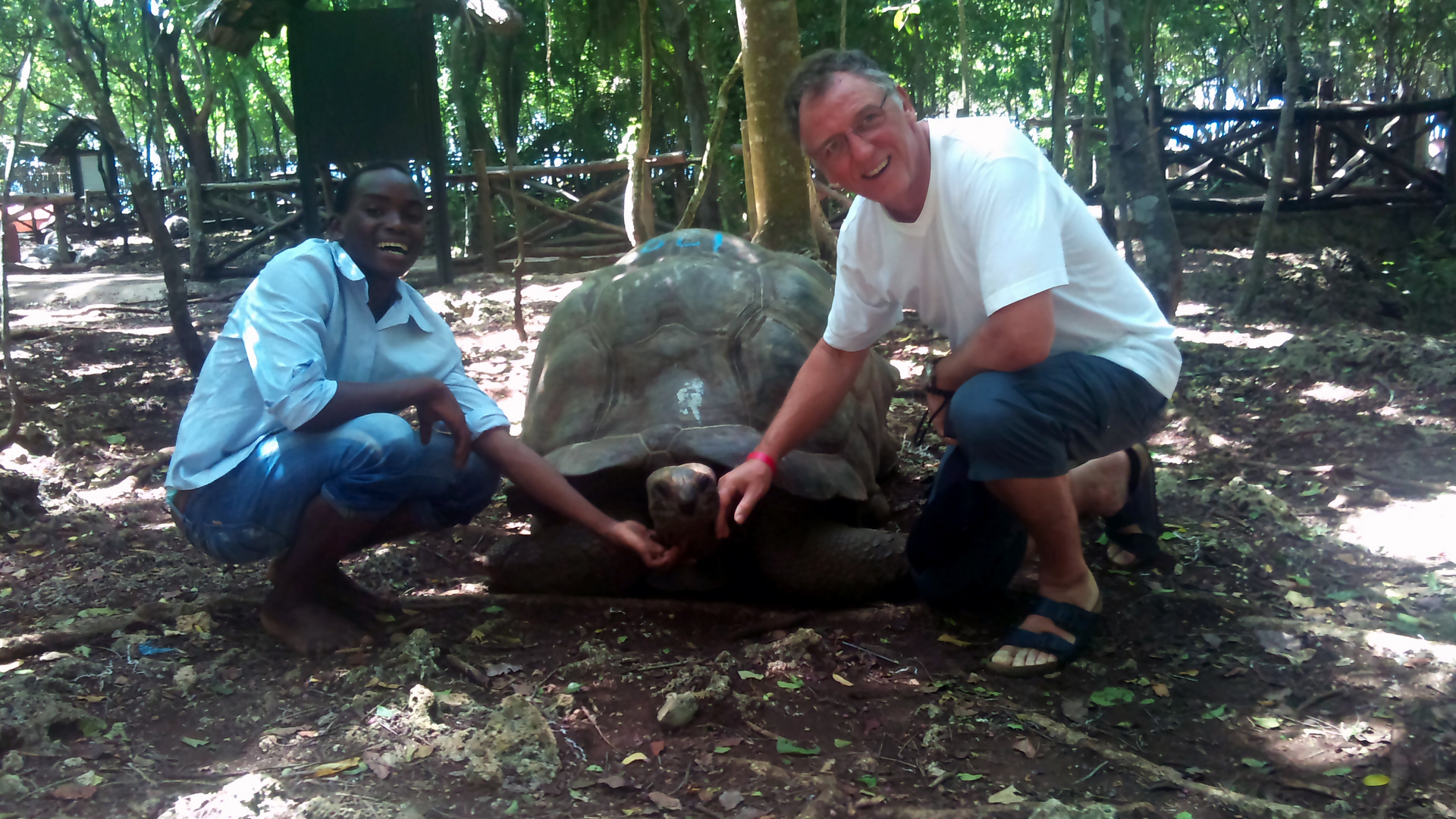 Riesenschildkröteninsel Changuu