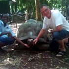 Riesenschildkröteninsel Changuu