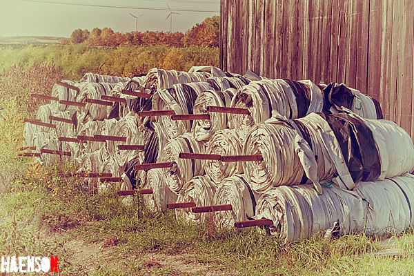 Riesenschriftrollen