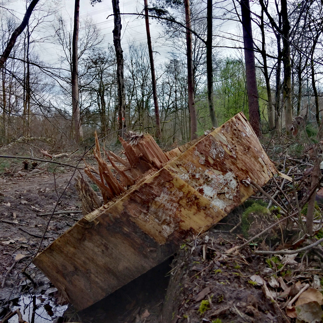 Riesenspielzeug