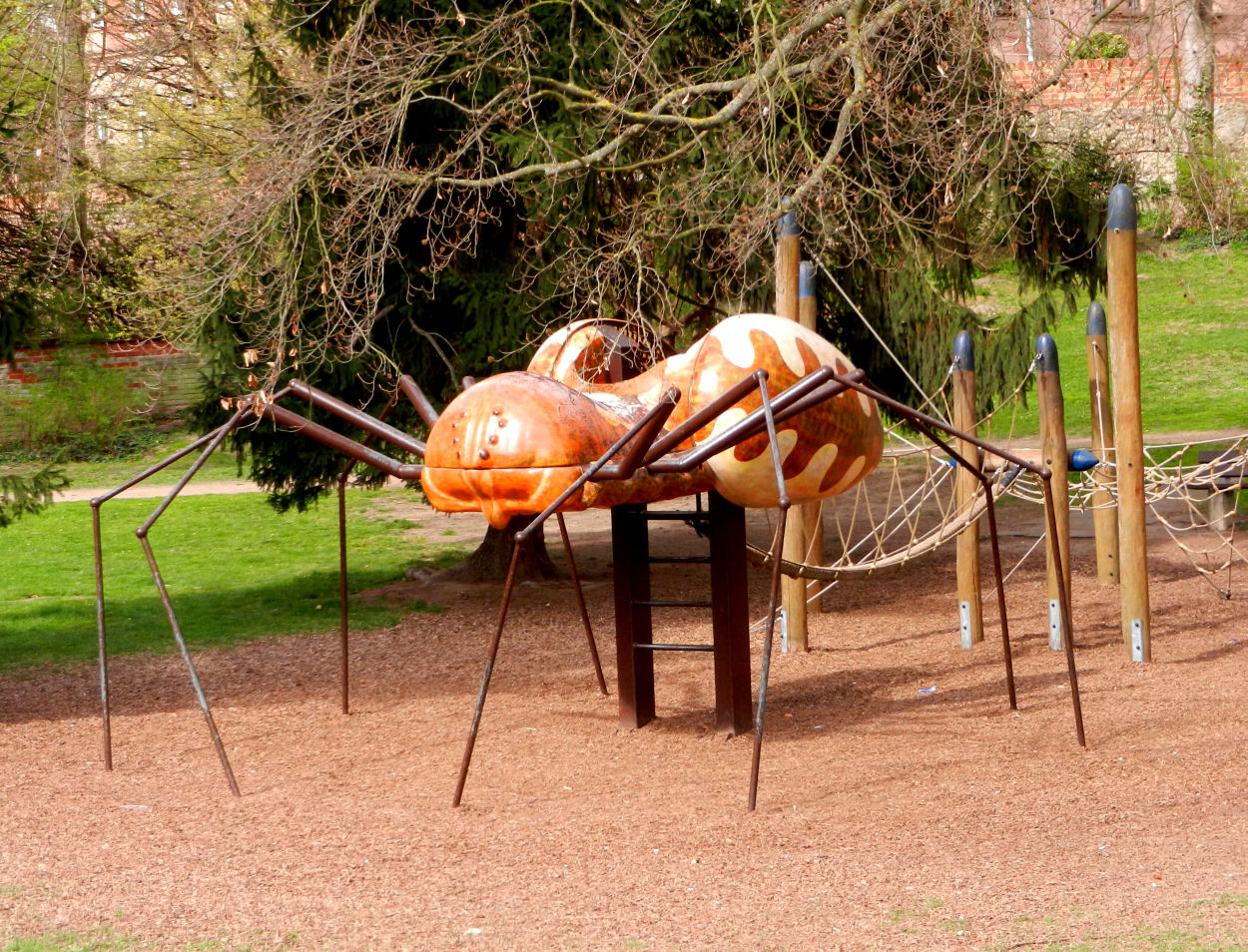 Riesenspinne in Speyer