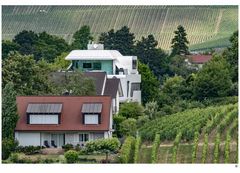 Riesenwohnmobil in den Heilbronner Weinbergen