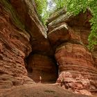 Riesige Klötze aus Buntsandstein, bis zu 30 m hoch sind Altschlossfelsen. 