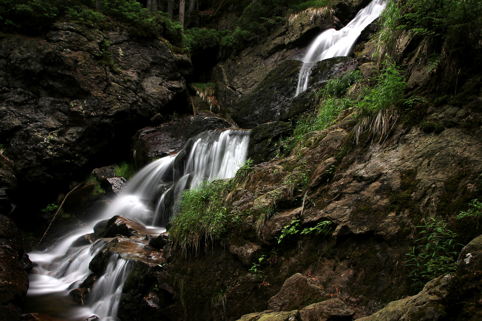 Rieslochfälle 1