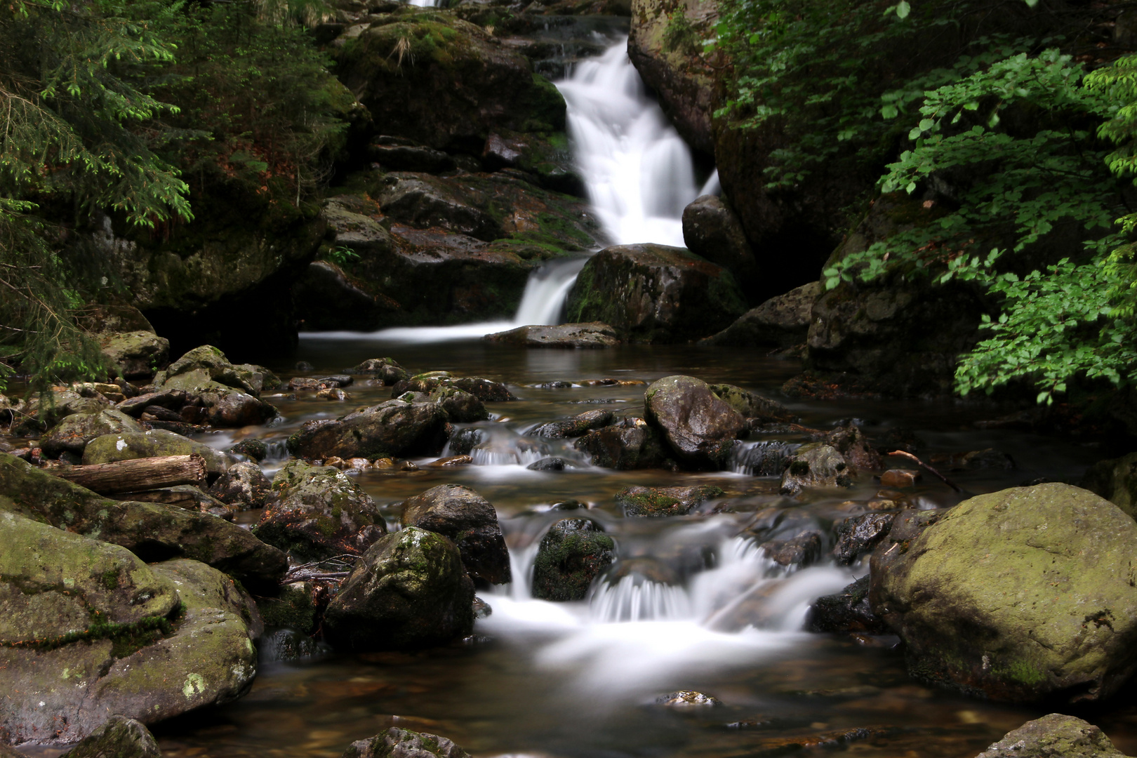 Rieslochfälle 2