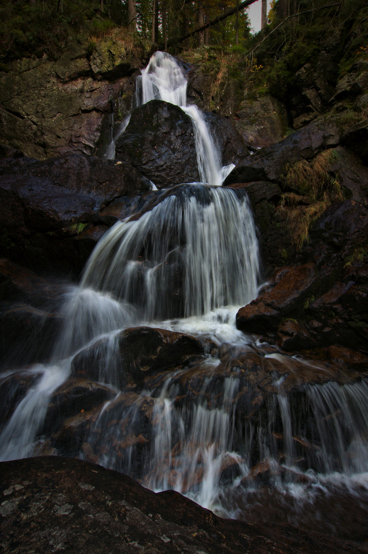 Rieslochfälle