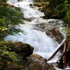 Rieslochfälle bei Bodenmais im bay. Wald