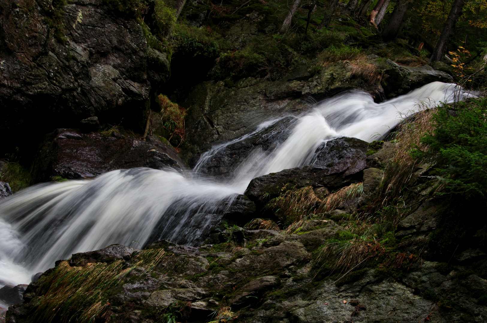 Rieslochfälle