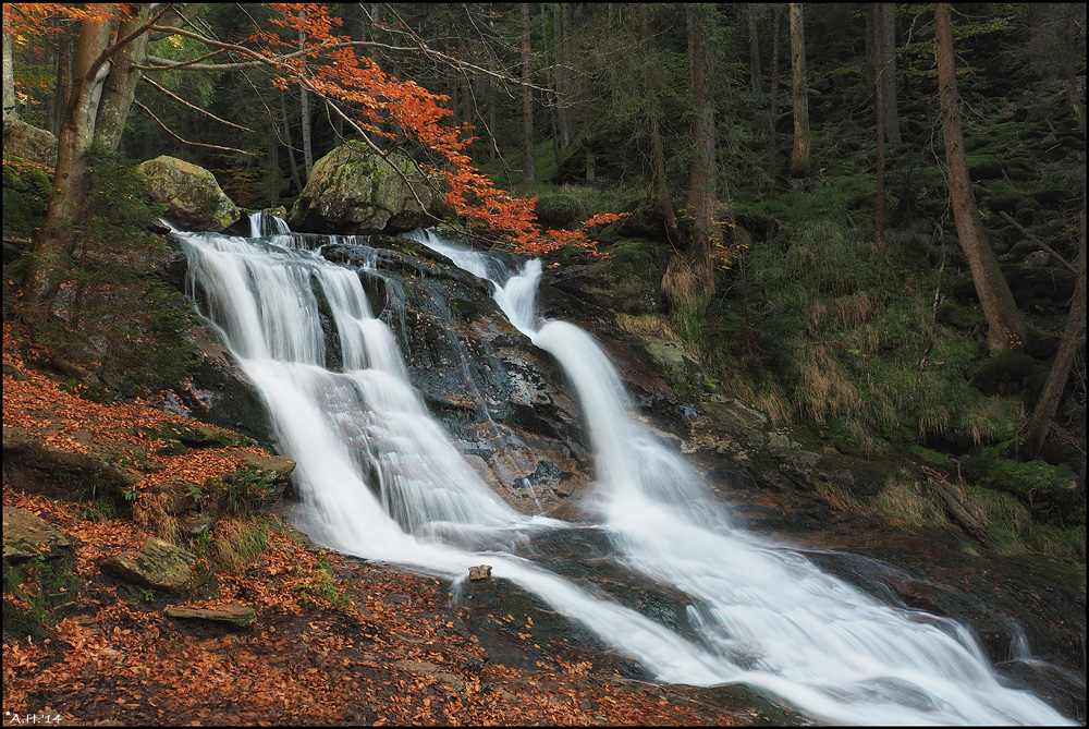 Rieslochfälle