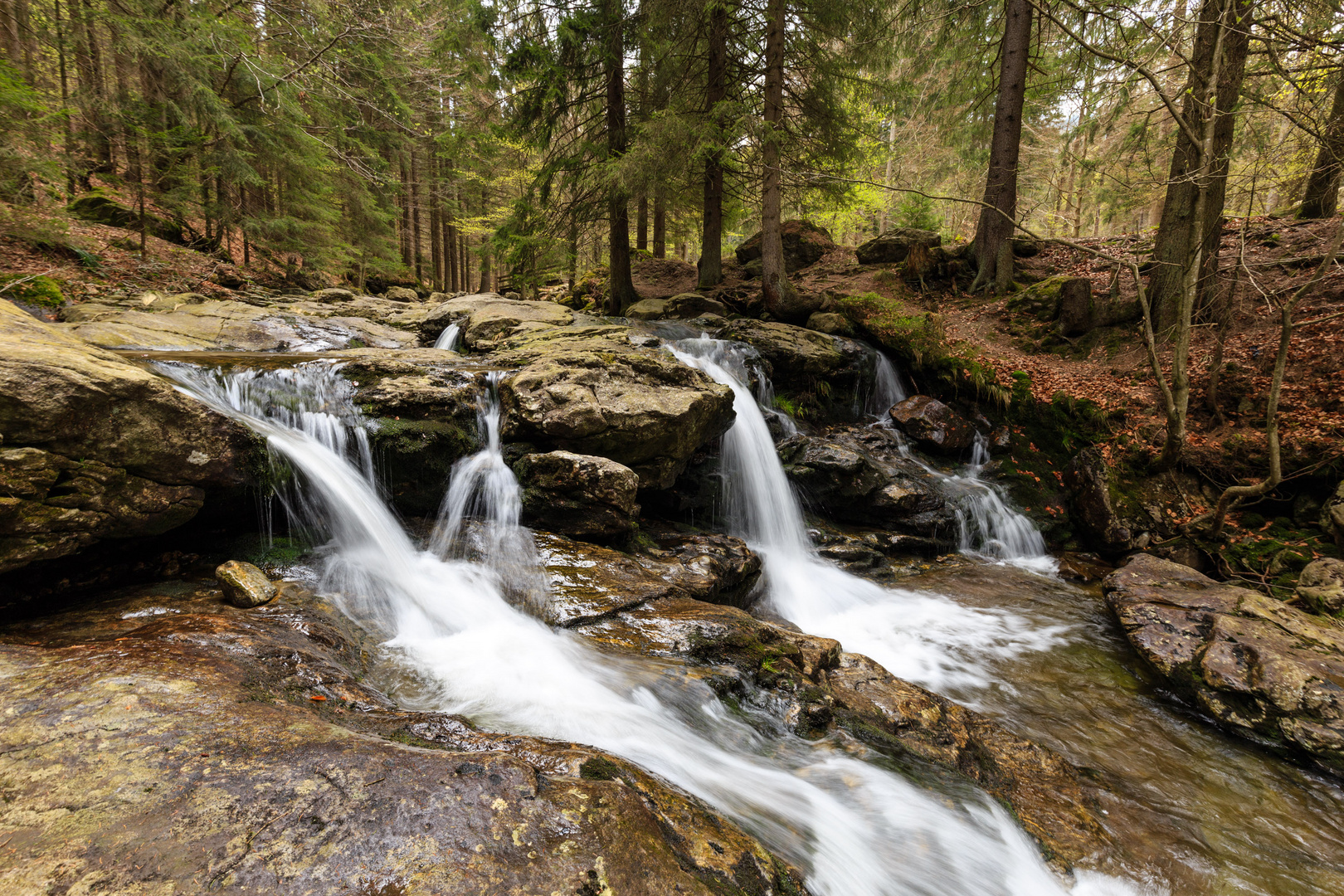 Rieslochfälle