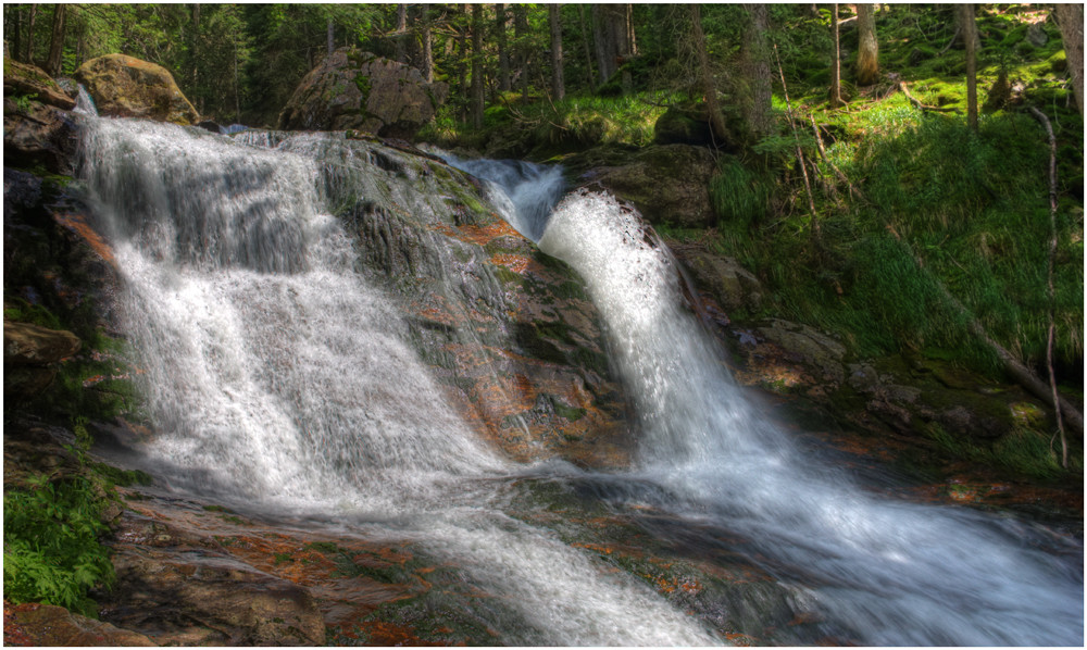 Rieslochfälle II