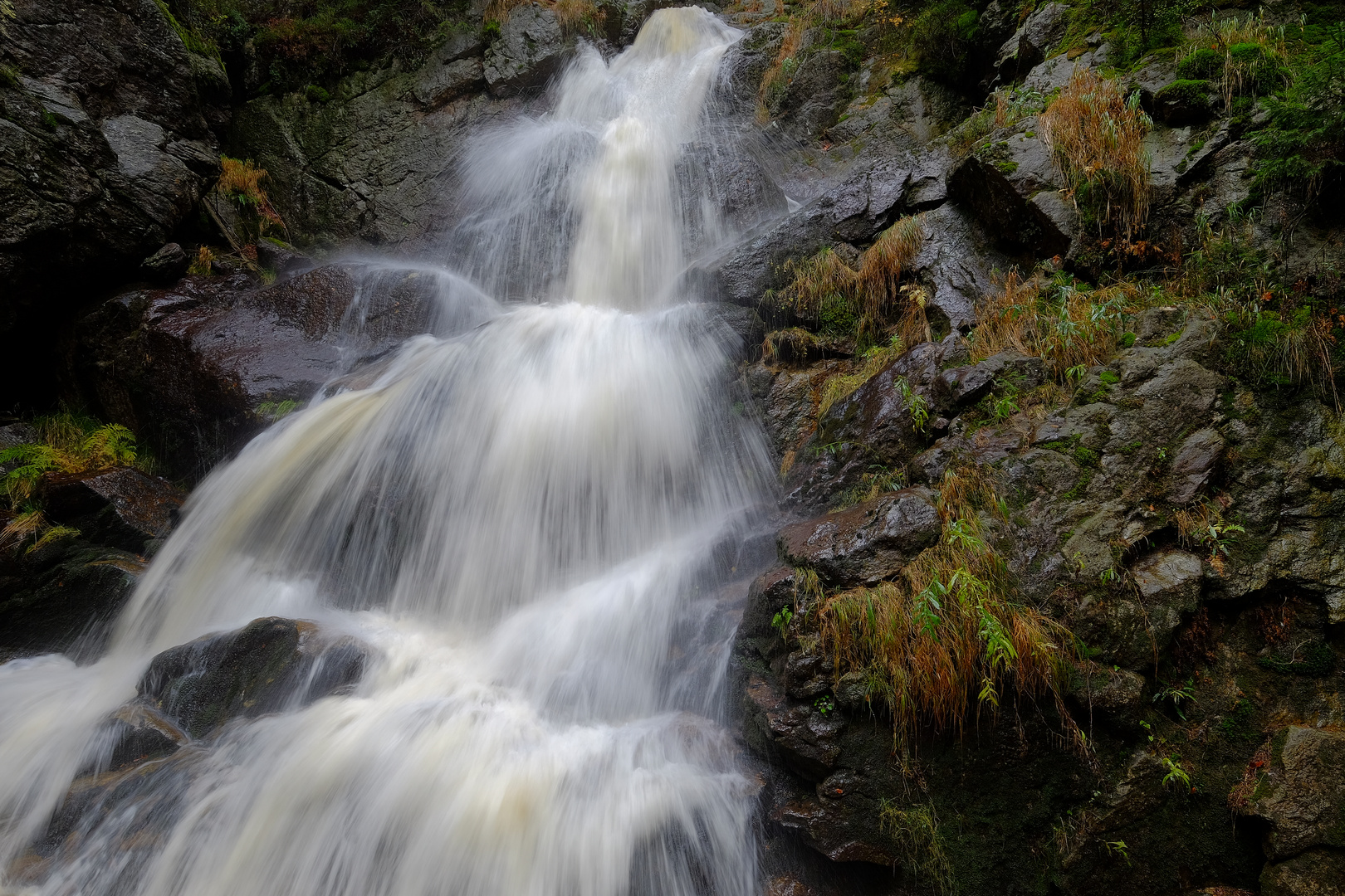  Rieslochfälle im Bayerischen Wald