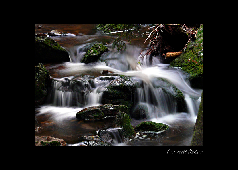 Rieslochfälle im Bayerischen Wald