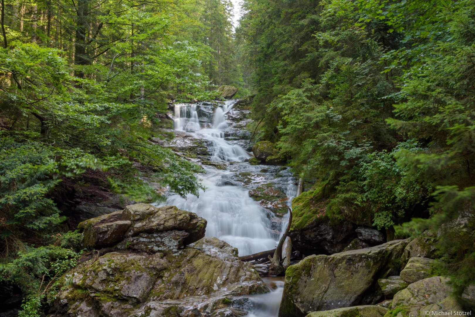 Rieslochfälle im Bayerischen Wald