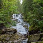 Rieslochfälle im Bayerischen Wald