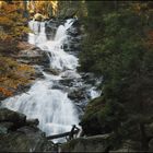 Rieslochfälle im Herbst